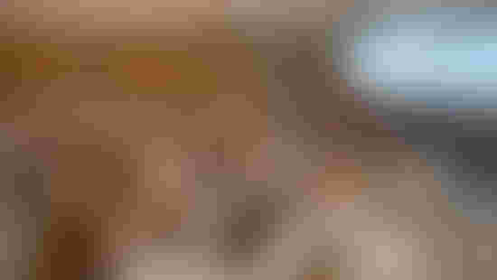 P1095326